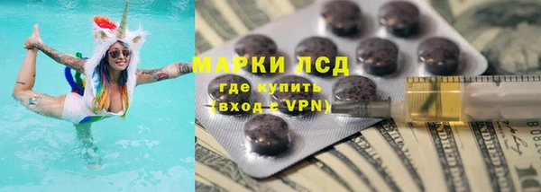 прущие грибы Алексеевка
