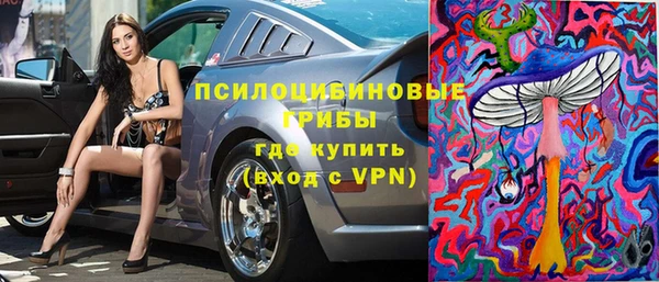 соль ск Алексин