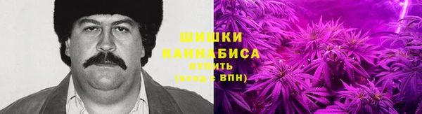 соль ск Алексин