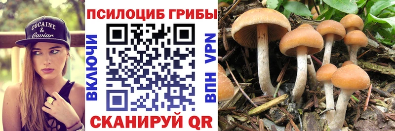 Галлюциногенные грибы мухоморы  Купить  Алексин 